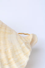 Load image into Gallery viewer, The Wren