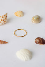 Load image into Gallery viewer, The Wren