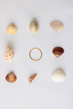 Load image into Gallery viewer, The Wren