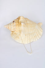 Load image into Gallery viewer, The Waylen