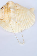 Load image into Gallery viewer, The Waylen